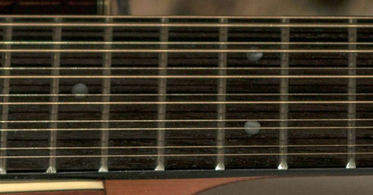 A closeup of the strings and the neck of the 12 string guitar