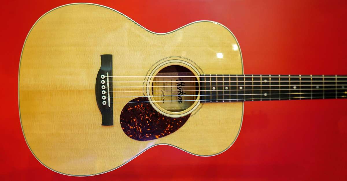 A view of the body of a steel string Herton guitar on a red background