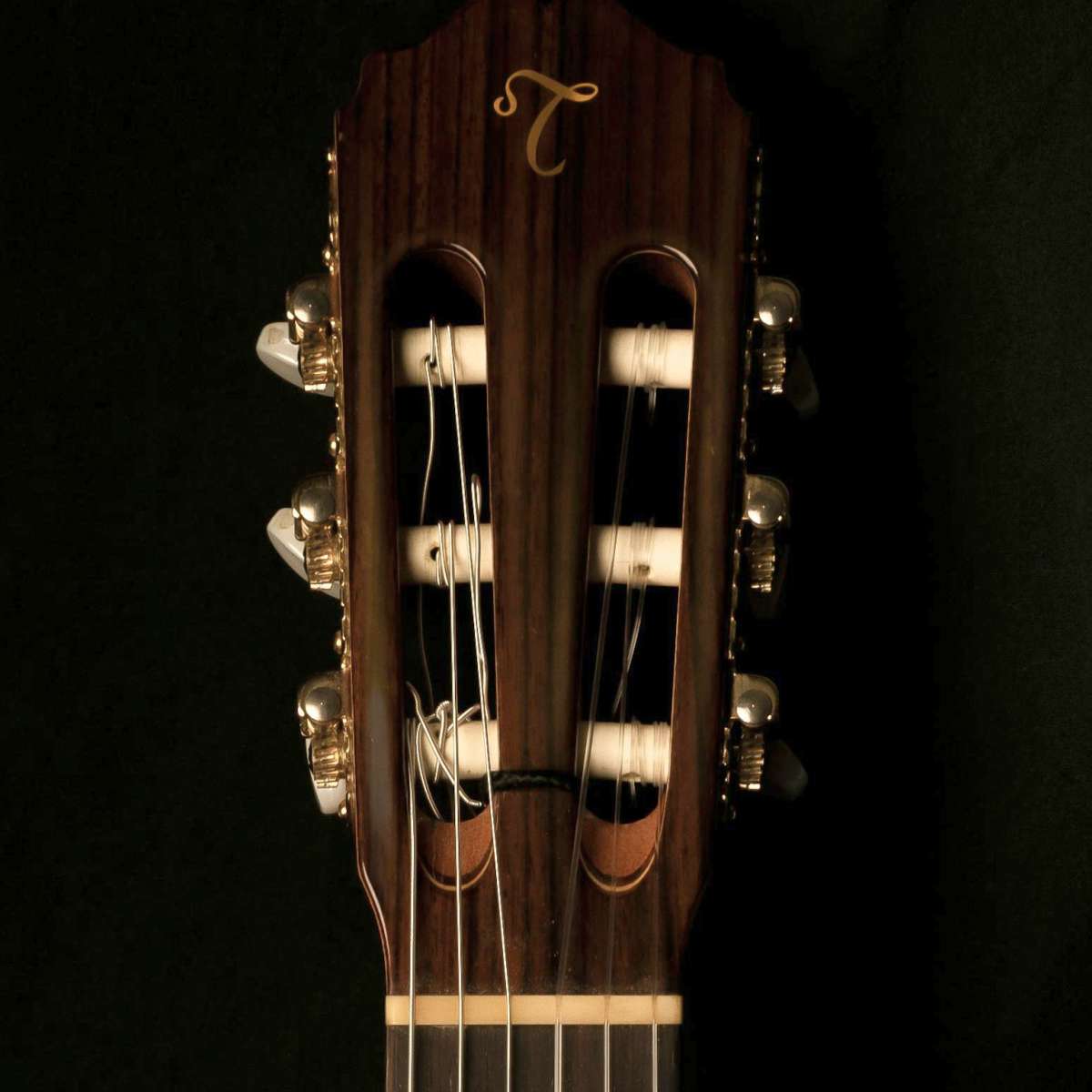 A close-up view of the Takamine nylon string guitar headstock